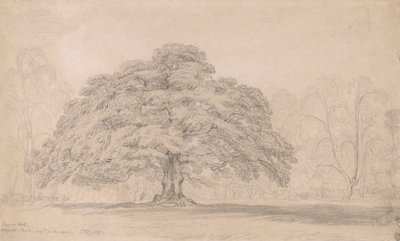 Le chêne des mendiants, Bagots Park, 12 août 1820 (Un arbre ancien célèbre sur le domaine de Lord Bagots Blithfiel...) - James Ward